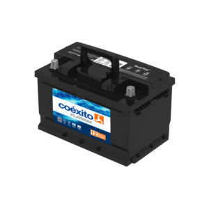 BATERIA MAC 48ST830X